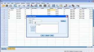 Value Labels  SPSS [upl. by Anol]