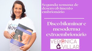 Segunda semana de desenvolvimento embrionário Disco bilaminar e mesoderma extraembrionário [upl. by Lonyer889]