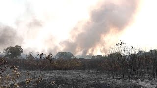 Queimadas continuam aumentando em Rondônia Em 24 horas quase 500 focos [upl. by Aylad576]