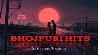 bhojpuri hit song lofi reverbslowed pawan singh hits song shilpi raj best song pawansingh lofi [upl. by Mcgray827]