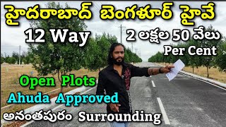 Hyderabad to Bangalore highway open Plots Anantapur surrounding  Open plots Anantapur [upl. by Saxela397]