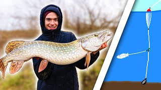 How To Catch Big River Pike  The Paternoster Rig [upl. by Hares]