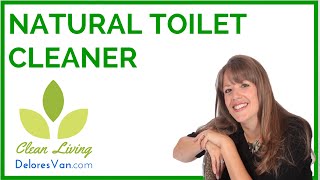 How to Clean the Toilet  Enviromentally Friendly Products  Biodegradable  Norwex [upl. by Auqinat]