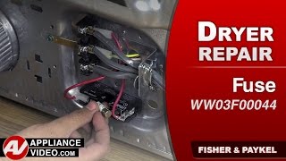 Fisher amp Paykel Dryer  Will Not Power On  Fuse Repair and Diagnostic [upl. by Catha626]