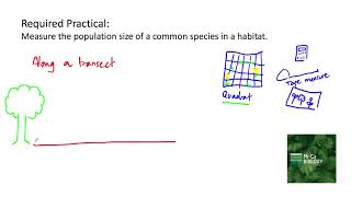 Measuring Population Size Along a transect AQA Biology Required Practical [upl. by Enilorac475]