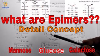 What are Epimers  Detail Concept with Explanation  Carbohydrate Biochemistry [upl. by Anilejna]