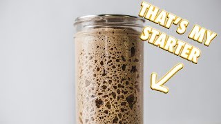 The Ultimate Sourdough Starter Guide [upl. by Asyle]