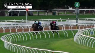 Flemington Jump Outs 6 Sep 2024 Jump Out 3 [upl. by Hterrag]