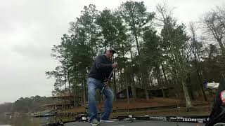 Flipping up big Largemouth Bass on the Coosa river [upl. by Mian]