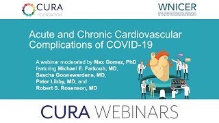 Acute and Chronic Cardiovascular Complications of the Coronavirus [upl. by Aihseya141]