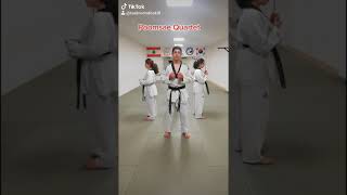 Taekwondo Poomsae 3  Sam Jang Amazing Quartet [upl. by Anora]