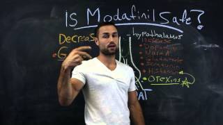 Is Modafinil safe Biohacking your mind [upl. by Gadmon]