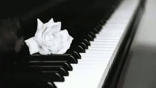 Chopin  Nocturne Op 9 n 2 Maurizio Pollini [upl. by Oner]