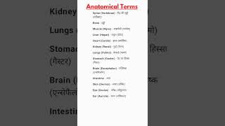 Anatomical Terms  2 spokenenglishlesson viralshort medicalterminology [upl. by Malloch]