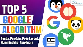 Top 5 Google Algorithms Related To SEO  Panda Penguin Hummingbird Page Layout amp RankBrain [upl. by Nahttam398]