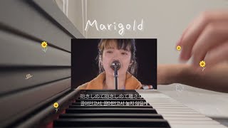 아이묭aimyon  Marigold  반주 full piano cover [upl. by Aggy]