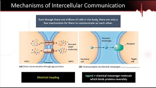 Chemical Messengers Part 1 [upl. by Nitsirc]