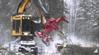 Komatsu XT450L Feller Buncher  SMS  Customer Testimonial  XT450L Feller Buncher Review [upl. by Ecinwahs]