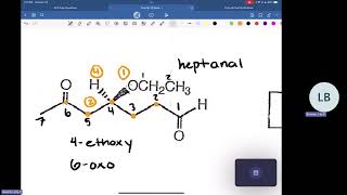 ACS UH Organic Chemistry II Final Exam Review  April 24 2024 [upl. by Evonne]