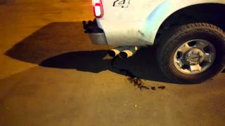 67 powerstroke dpf delete exhaust sound [upl. by Yared123]