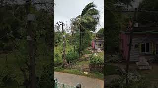 Dana at his peak 2024 cyclone dana odisha balasore thecyclone weathertoday tropicalwave [upl. by Aria]