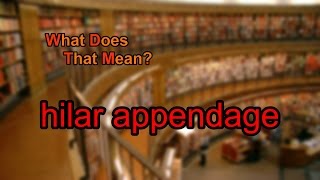 What does hilar appendage mean [upl. by Leeda]