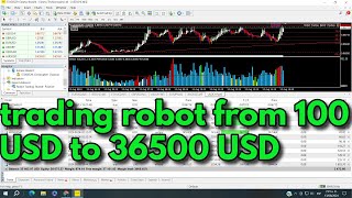 Automated trading robot from 100 USD to 36500 USD  MT4 MT5 Live account [upl. by Gilletta]