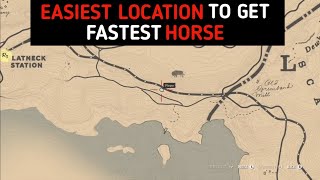 Perfect Location To Get Silver Dapple Pinto Horse Easily In 2 Minutes  RDR2 [upl. by Aynom]