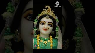 Banke bihari ki dekh chhata song music bhajan LadalijuMuralidhar [upl. by Neddy241]