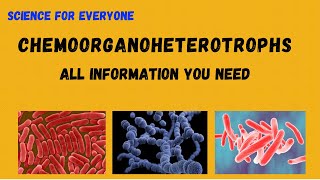 CHEMOORGANOHETEROTROPHS  Detailed Explanations  With Examples  Conceptional [upl. by Noiek736]