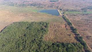 Lisoka  Bamboo Plantation Malawi [upl. by Nad]