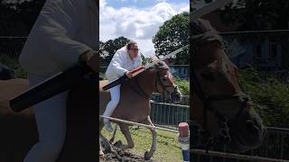 🐴 Ringrijden Aagtekerke Netherlands🇳🇱 TravelwithHugoF ringrijden aagtekerke horses [upl. by Sabrina]