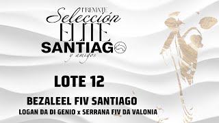 Lote 12 Bezaleel FIV Santiago [upl. by Ennovyhc]