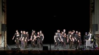 UBC A Cappella  Hide and Seek  Imogen Heap ICCA 2017 [upl. by Anuahc719]