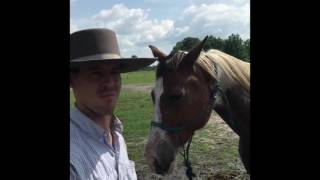 Desensitizing A Horse To Water [upl. by Daph]