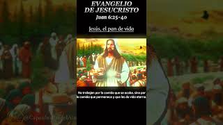 Lecturas del Evangelio de HOY Martes 7 de Noviembre 2023 Jesús el pan de la vida Juan 62540 [upl. by Eceer]