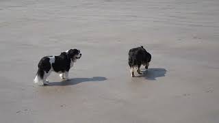 Brean Beach Walk [upl. by Tammara]