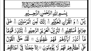 🔴Read Surah Yaseen With Beautiful Recitation  Surah Yaseen Full [upl. by Rome]