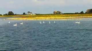 Ausfahrt Yachthafen Heiligenhafen vorbei am Graswarder von Heiligenhafen auf die weite Ostsee [upl. by Sedda656]