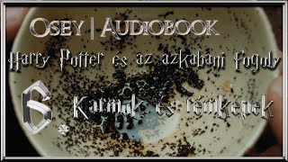 Harry Potter és az azkabani fogoly hangoskönyv remake  6 fejezet [upl. by Orabelle828]