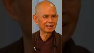 Your True Nature  Thich Nhat Hanh  Plum Village App Shorts [upl. by Klinger]