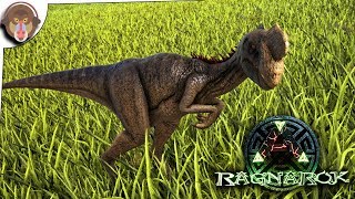 Ark Survival Evolved RAGNAROK  OVIRAPTOR TAME  S7E14 RAGNAROK DLC [upl. by Lani5]