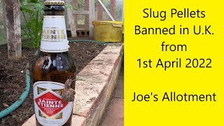 Slug Pellets Banned From 1st April 2022  UK Allotment Zone 8 [upl. by Negam]