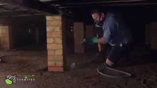 CONQUER TERMITES TERMITE TREATMENT VIDEO [upl. by Rediah]