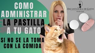 ¿TU GATO NO SE COME LA PASTILLA  Encantadora de Gatos [upl. by Michail]