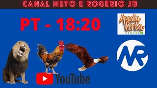 RESULTADO AO VIVO ROGERIO E NETO JB  PTN  20112024 [upl. by Assyla]