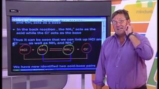 03 AcidBase Conjugate Pairs [upl. by Yenoh]