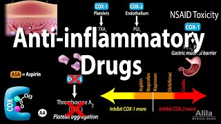 Antiinflammatory NSAIDs Drugs Pharmacology Animation [upl. by Eng781]