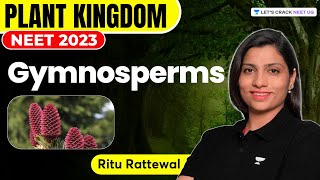 Phoenix 20 Biology Most Important Video for NEET 2025  Udaan [upl. by Magda]