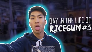 Day in a life with RiceGum Episode 3 TURKEY DAY BLACK FRIDAY RiceFlavoredGumRiceGum [upl. by Yddur915]